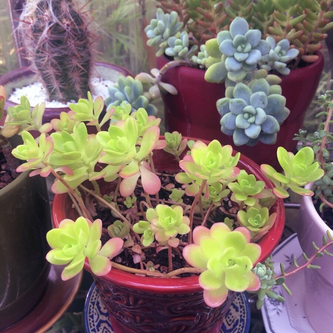 B15D787E-530F-4145-AE27-08EB8E05BA86