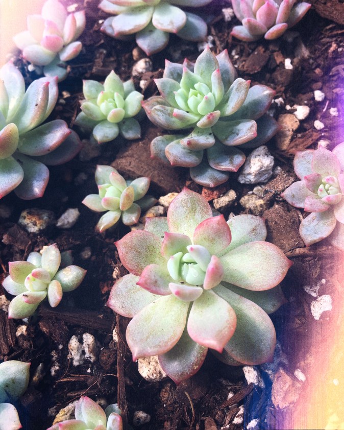 2B36F3C8-AF37-4A80-AC3C-1F6DCF2F789F