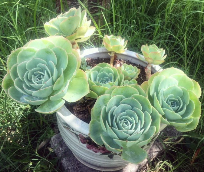 A57137CC-1B06-4DB7-8315-DBB418E14EC9