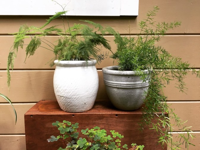 7991215D-2A86-4F8F-96BE-FF8B2310D142