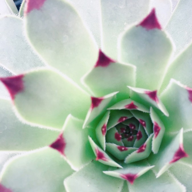 89AB5FF2-C188-4C5B-8970-35BA926B394F